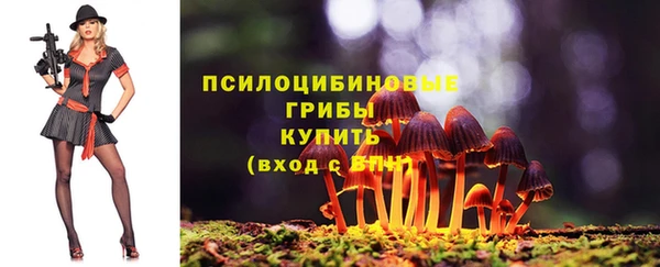 Альфа ПВП Балахна