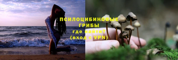 Альфа ПВП Балахна